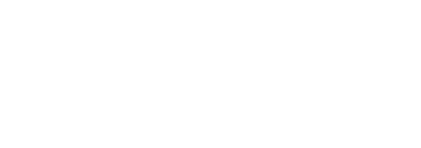 WW Consulting